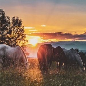 Meet your Posher, Brynn-leigh